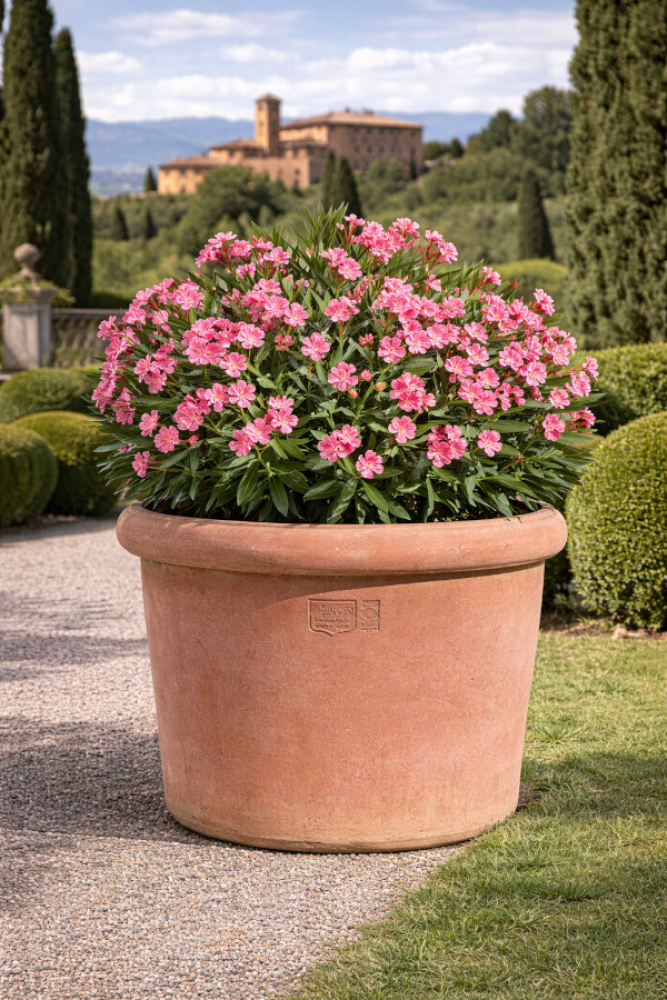 Vaso a Bugnolo Liscio – grand pot rond en terracotta originale d’Impruneta